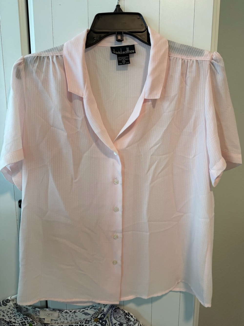 Vintage David Matthew Pale Pink Short-Sleeve Button Front Blouse
